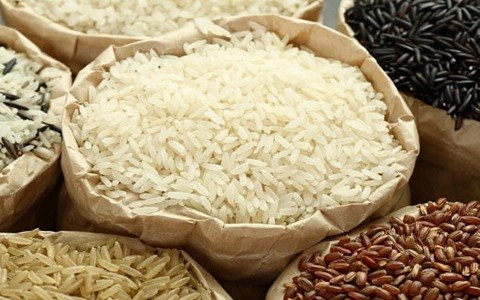قیمت خرید برنج چمپا شمال با فروش عمده